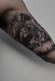 Trik menyengat lengan pria pada gambar tato serigala hitam