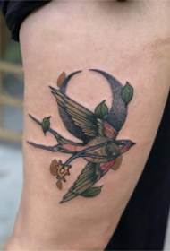 Material de tatuagem no braço, braço masculino, lua e imagem de tatuagem de pássaro