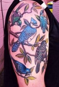 Putnu tetovējums meitenes putns uz putna tetovējuma dzīvnieka attēla