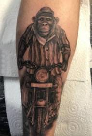 Braccio dello studente maschio della scimmia del tatuaggio sull'immagine grigia nera del tatuaggio della scimmia