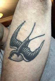 Рука татуювання матеріал хлопчика рука на малюнку татуювання чорна ластівка