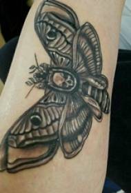 Li ser nîgarê tattooê ya Butterfly wêneya boy