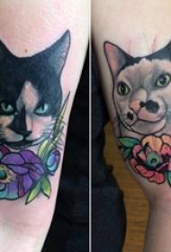 고양이 문신 간단한 소년 팔 고양이 문신 사진