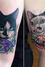Foto tatuaggio tatuaggio ragazzo semplice braccio braccio gattino tatuaggio