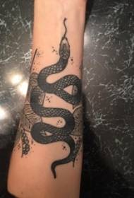 Lengan budak haiwan tatu pada gambar tatu daun dan ular