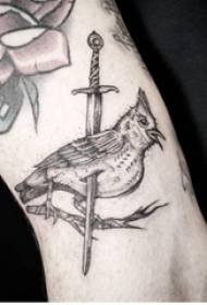 Ragazza d'uccello di u tatuu nantu à u bracciu è l'immagine di tatuaggi di spada