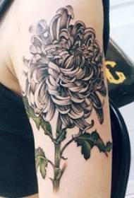 Fille de tatouage chrysanthème gris noir Image de tatouage de chrysanthème gris noir sur le bras de la fille