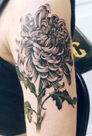 Ragazza del tatuaggio del crisantemo grigio nero immagine del tatuaggio del crisantemo grigio nero sul braccio della ragazza