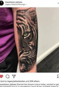 Tiger totem tattoo gason totem tig totem foto tatoo