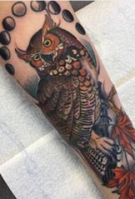 Ábhar tattoo lámh, lámh fir, duilleog agus pictiúr tatú owl