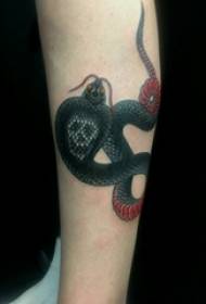 Serpente e sornione modello tatuaggio ragazza serpente e sornione immagine del tatuaggio sul braccio