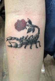 Aarm Tattoo Material Meedchen Aarm rose an Scorpion Tattoo Bild