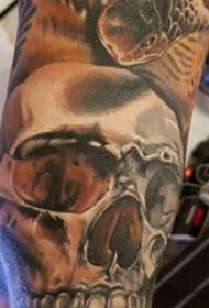 Materiale del tatuaggio del braccio, braccio maschile, immagini di tatuaggi di serpenti e teschi