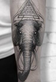 Baile animalia tatuaje gizonezko ikaslea besoa triangelu eta elefante tatuaje irudian