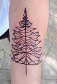 Τατουάζ στο φυτό, αρσενικό βραχίονα, μαύρη εικόνα τατουάζ πεύκου