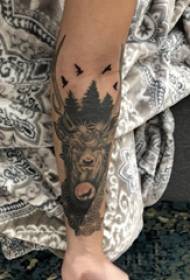 Слика за тетоважа на рака, девојче рака на слика на тетоважи од растенија и др