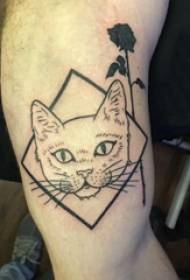 Braccio del ragazzo del tatuaggio del gattino sull'immagine del tatuaggio del gattino