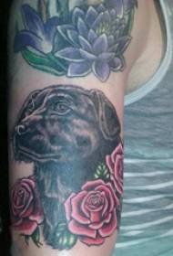 Qalabka tattoo gacanta, gacanta lab, kor u kaca iyo sawirada tattoo puppy