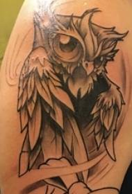 Tatuointi pöllö mies opiskelija käsivarsi mustalla harmaalla tatuointi pöllö tatuointi kuvaa