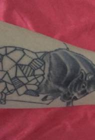 Härkä totem tatuointi uros kilpikonna härkä totem tatuointi kuva