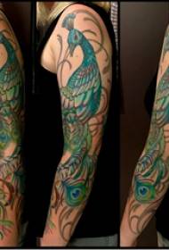 Pátrún tattoo patrún cailín pictiúr tattoo peacock ar an lámh