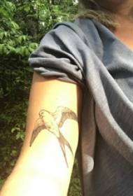 Tattoo pogoltne dekličino roko na sliki črne lastovke