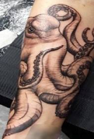 Чорная васьміног татуіроўка татуіроўкі васьмінога на руку