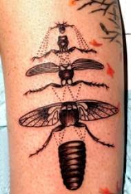 Tattoo bug მამრობითი მკლავი შავი ტატულის სურათზე