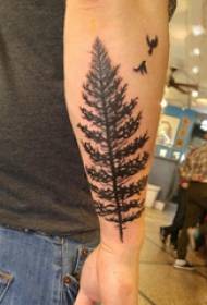 手臂上的紋身圖片男孩的手臂在黑松樹上的紋身圖片
