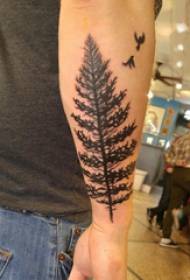 Arm tattoo picture boy's arm on black pine tattoo picture