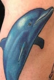 Tetovēts delfīns