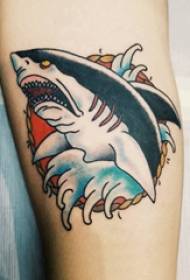 Estudante masculino de tatuaxe de pequeno animal con imaxe de tatuaxe de tiburón coloreada no brazo