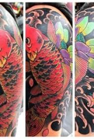 Tattoo წითელი squid, მამრობითი მკლავი, squid tattoo სურათი