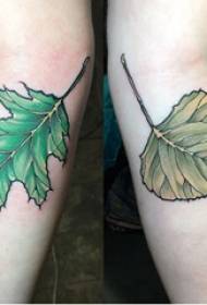 Leaf tattoo tattoo musikana ruoko paruvara rwemashizha tattoo mufananidzo