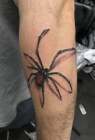 3d realistisk tatovering mandlig studerende med farvet edderkop tatovering billede på armen