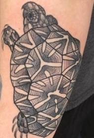 Turtle tattoo ụkpụrụ nwata aka turtle igbu usoro