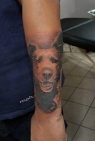 Braccio da studente maschio Baile tatuaggio animale sull'immagine del tatuaggio dell'orso nero