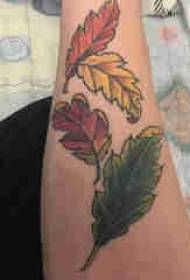 Tatuaje de plantas, brazo do neno, follas de cores, foto de tatuaxe