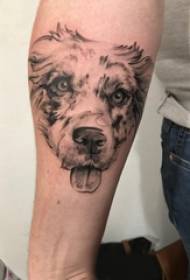 Lengan tangan bahan tatu lengan pada gambar tatu anjing hitam