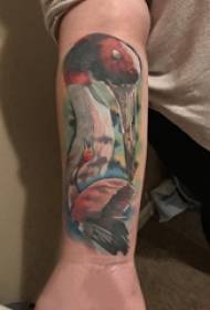 Arm tattookuva pojan käsivarsi värillisellä nosturitatuoinnilla
