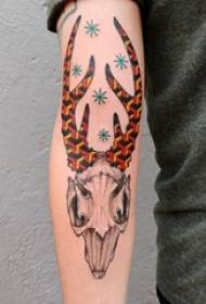 Ovčja lobanja tetovaža fant roka na barvni sliki tatuje lobanje