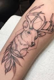Foto di tatuaggio di alce braccio ragazza su immagine di tatuaggio di pianta e alce