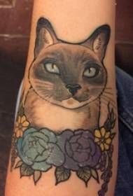 Material del tatuaje del brazo, flor masculina, flor de color y foto de tatuaje de gato