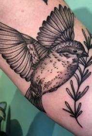 Arm Tattoo Material, männlicher Arm, Pflanze und Vogel Tattoo Bild