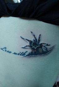 Djevojka natrag piling tetovaža pauka uzorak