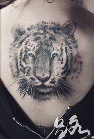 Tattенските тетоважи на грбот од тигар за глава ги споделуваат тетоважите