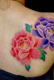 La signora destra spalla immagine del modello tatuaggio peonia