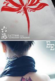 Patrún Tattoo Akira