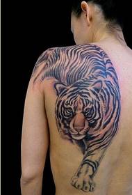 immagine raccomandata del modello del tatuaggio della tigre di personalità della parte posteriore di modo