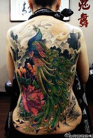 美麗的背與美麗的背孔雀紋身圖案